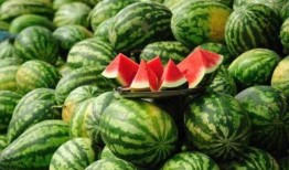 荷兰网红吃瓜事件真相揭秘,揭秘背后真相与争议